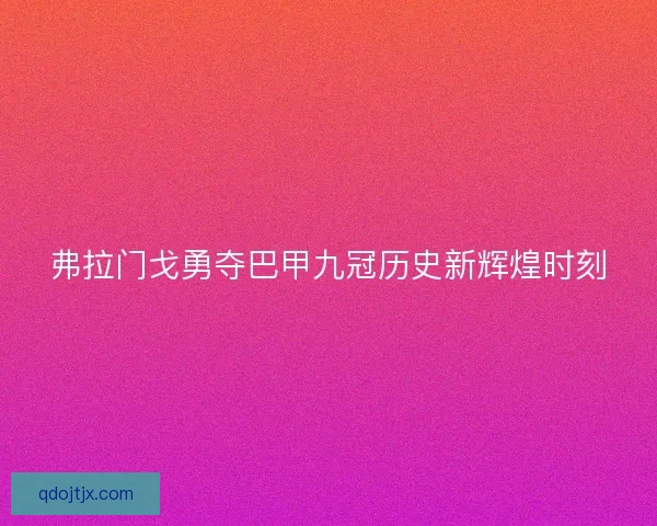 弗拉门戈勇夺巴甲九冠历史新辉煌时刻
